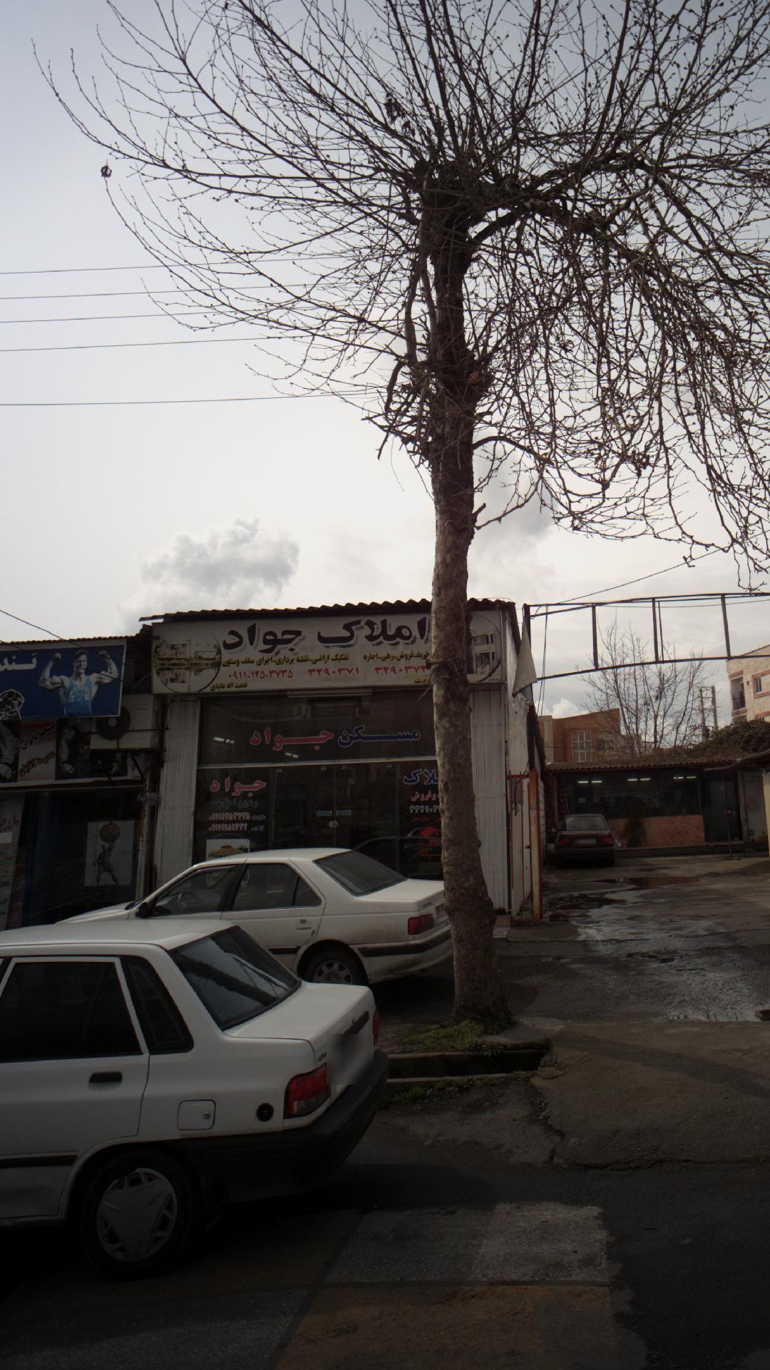 املاک جواد
