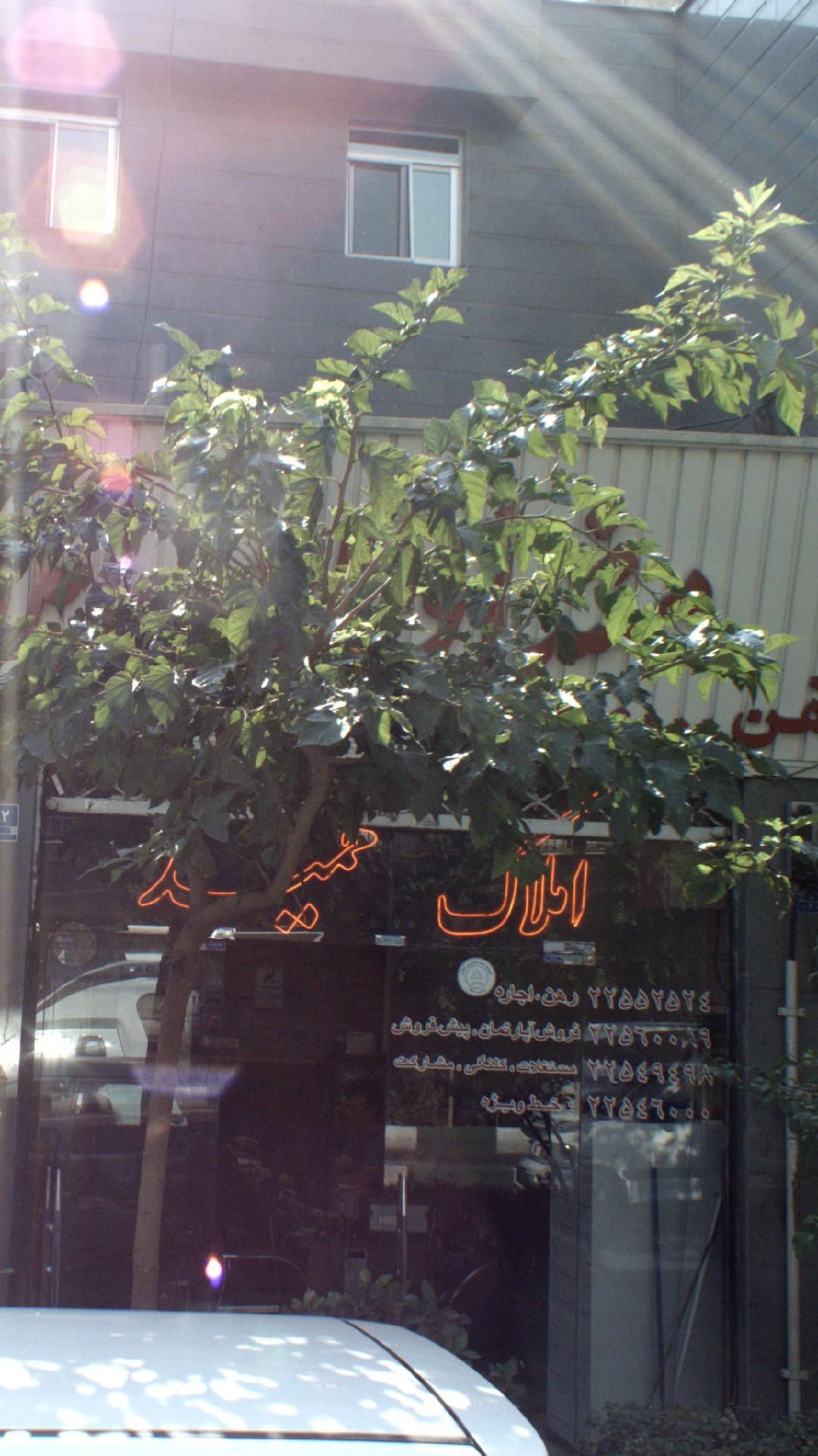 املاک حمید