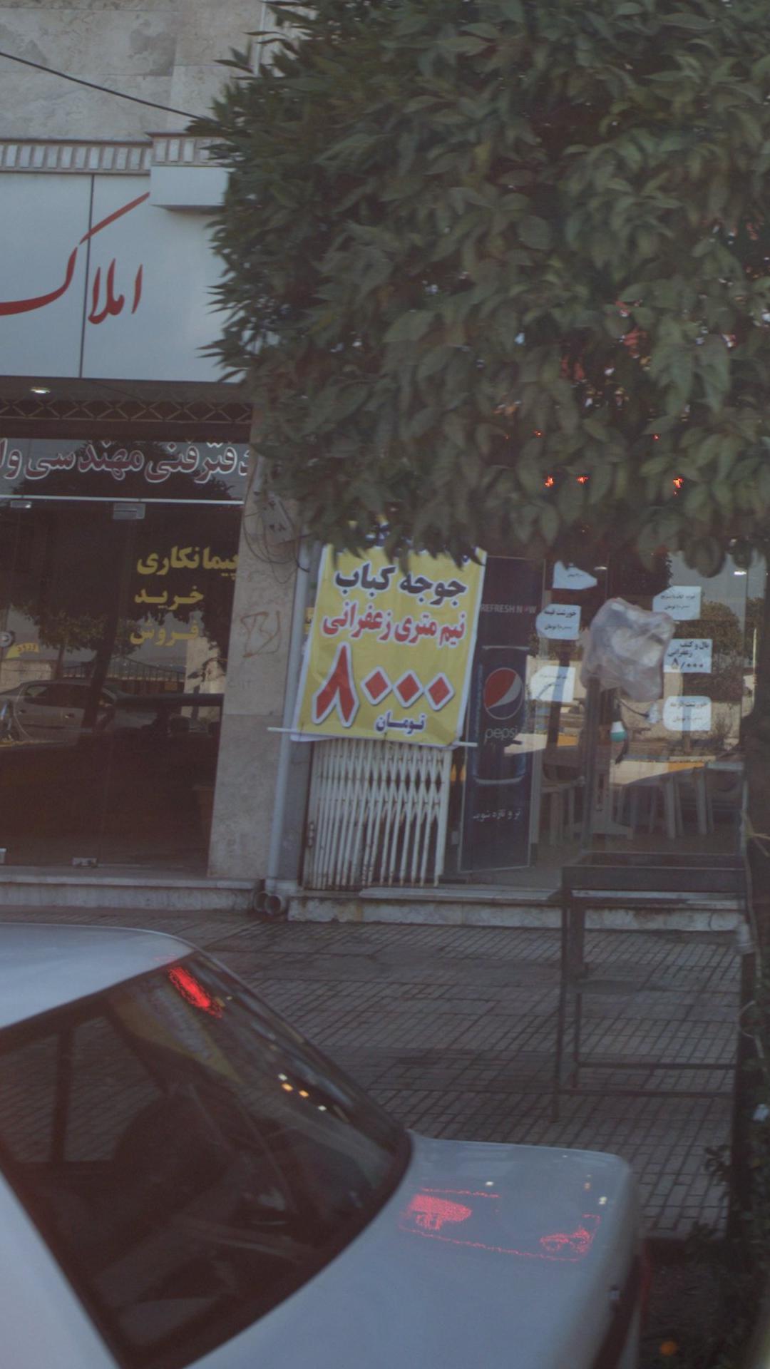 تهیه غذای کندو