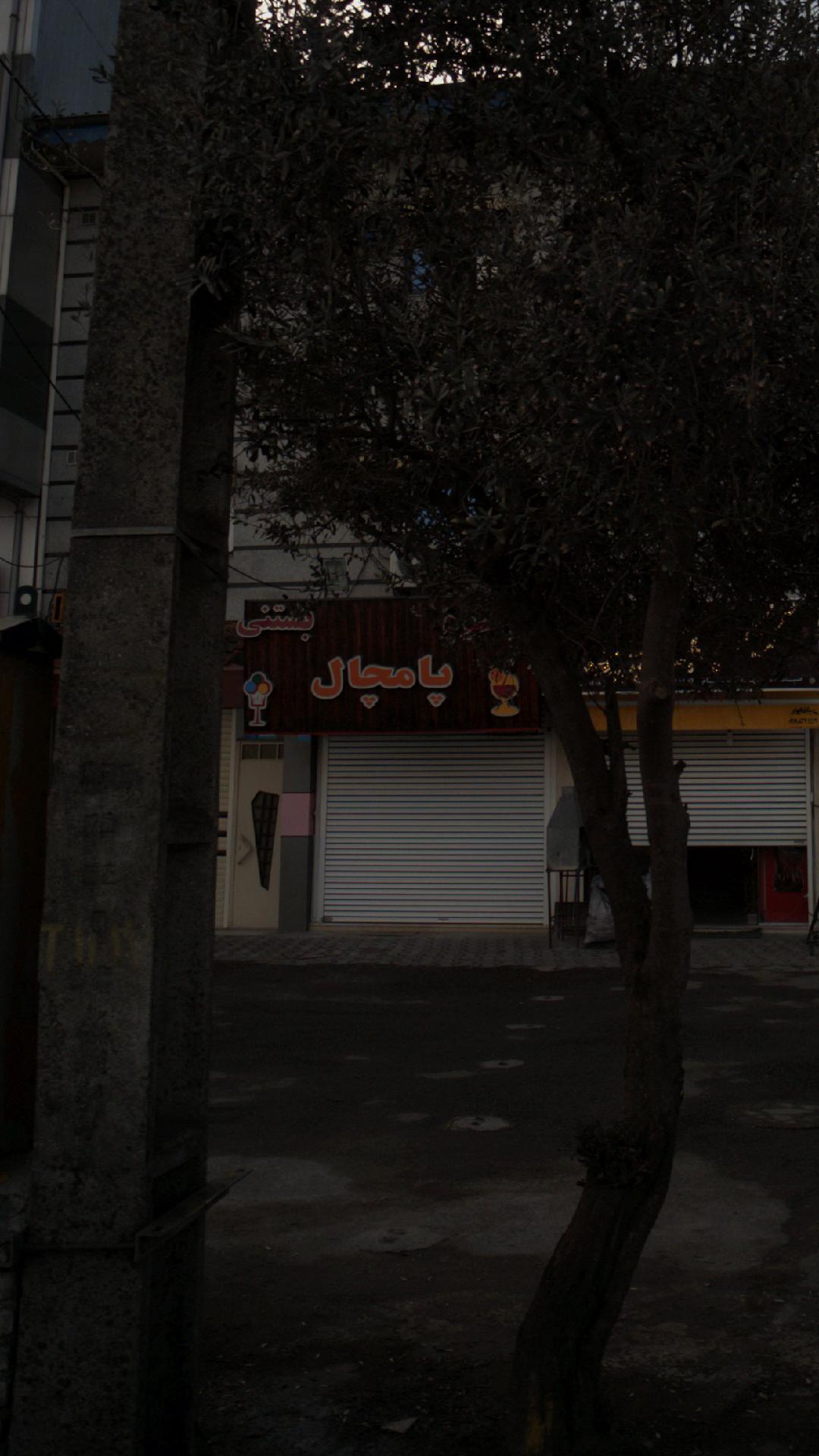 آبمیوه بستنی پامچال