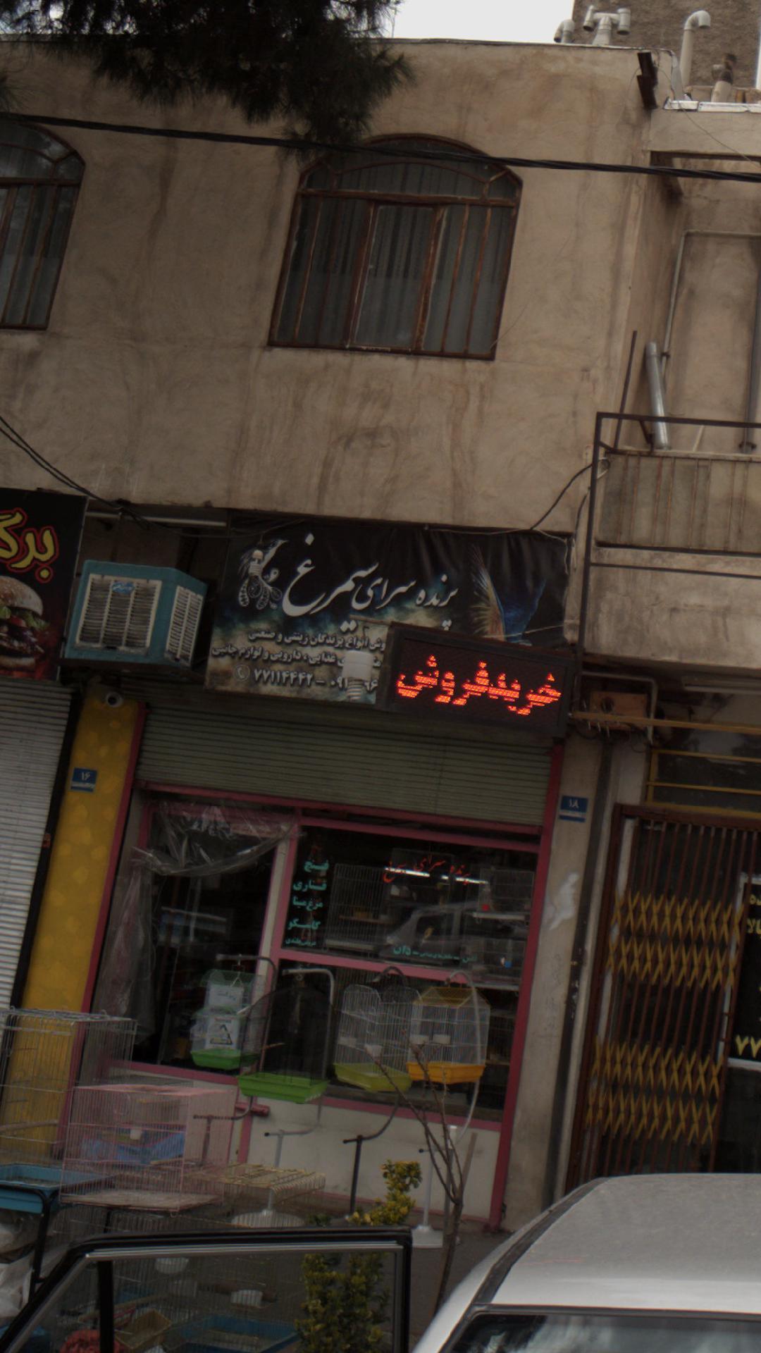 پرنده فروشی سیمرغ