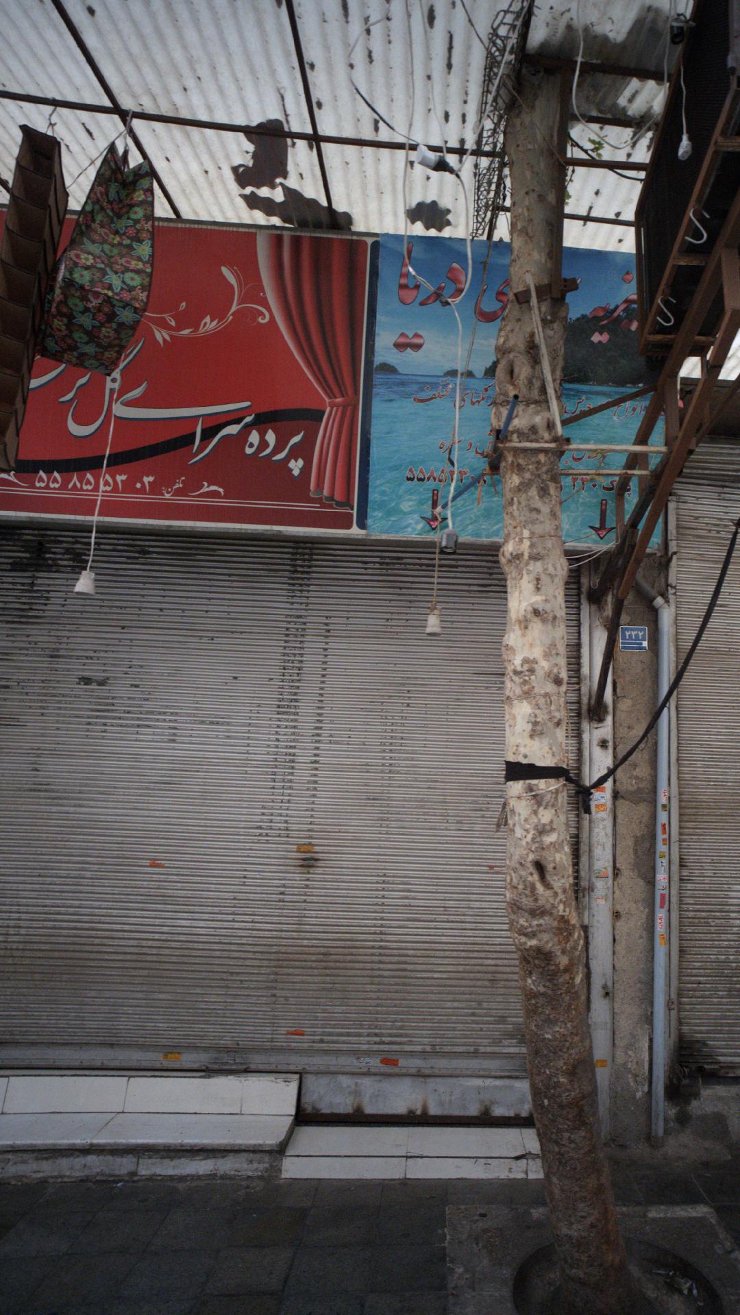 پرده سرای گل نرگس
