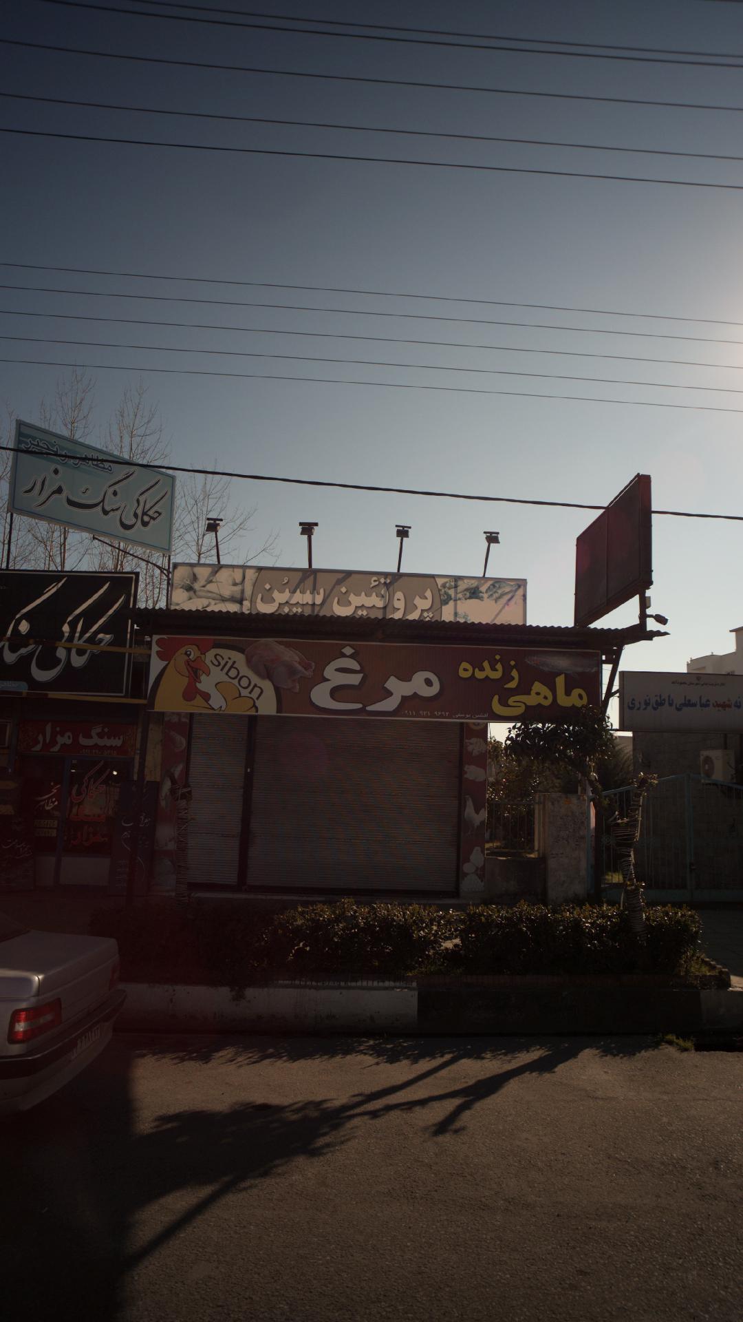 پروتئین سیبون