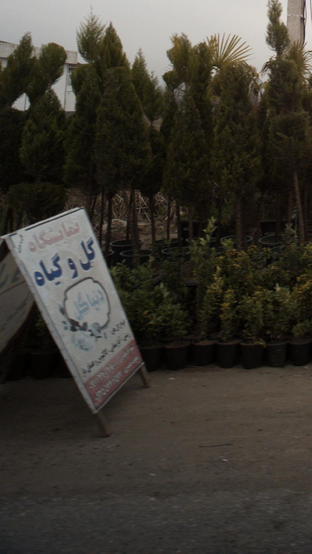 نمایشگاه گل و گیاه