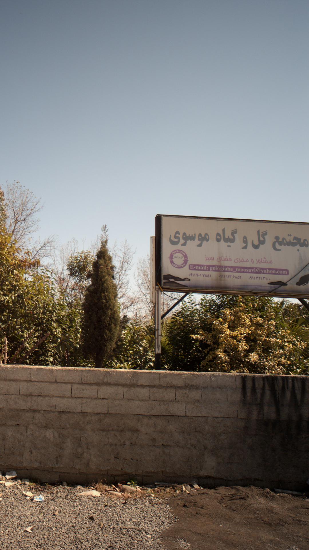 مجتمع گل و گیاه موسوی