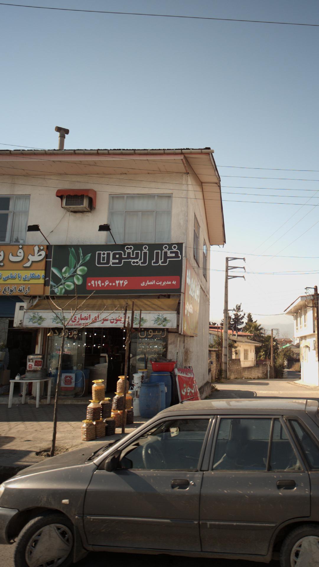 خزر زیتون (انصاری )