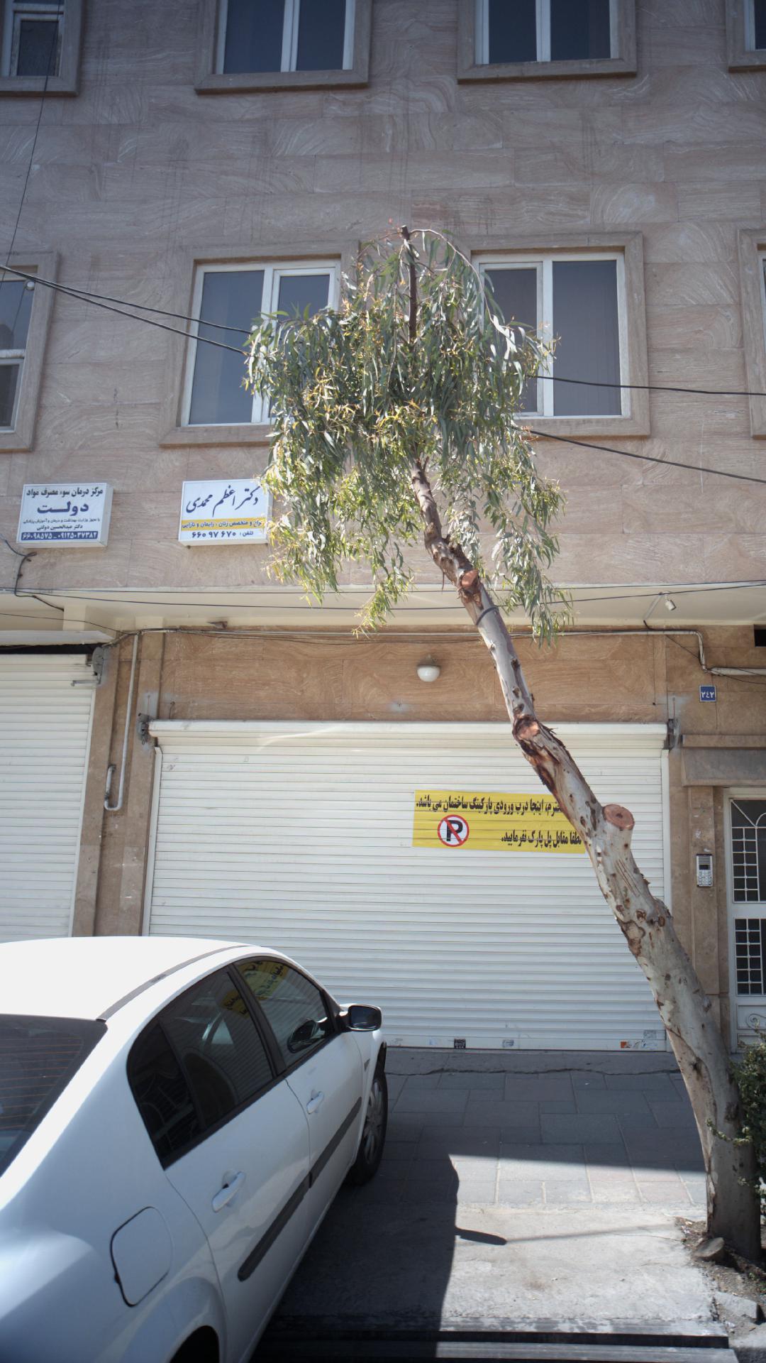 دکتر اعظم محمدی