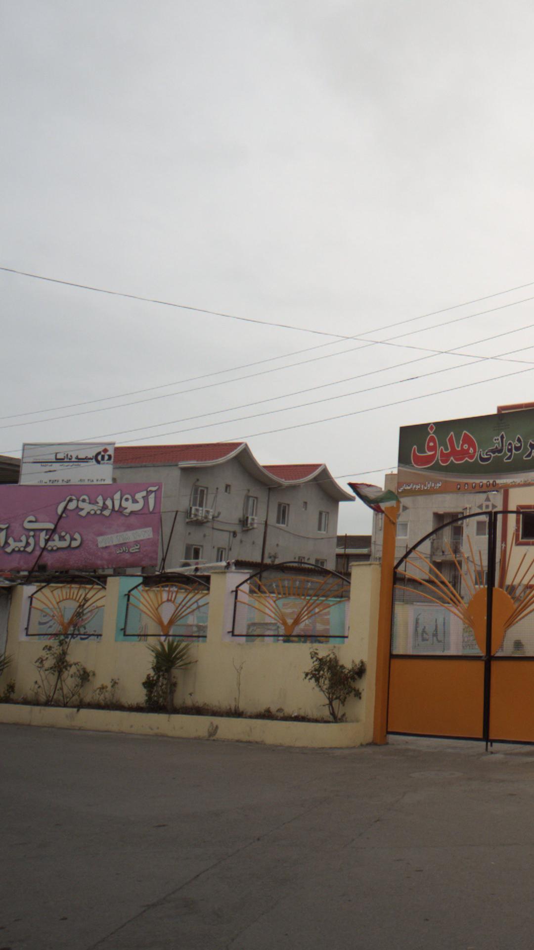 بیمه دانا