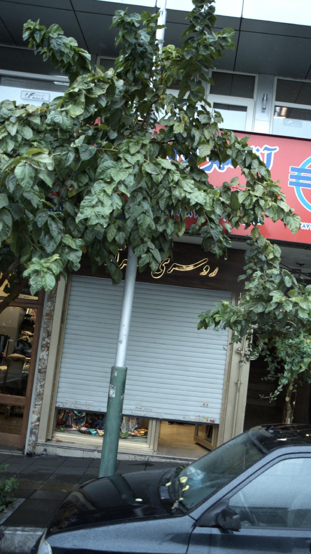 روسری سرا