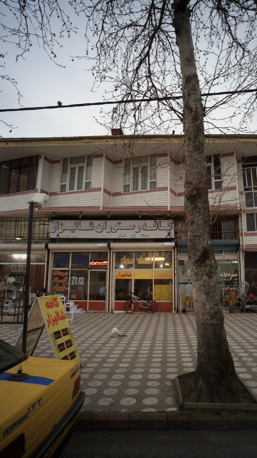 کافه رستوران شالیزار