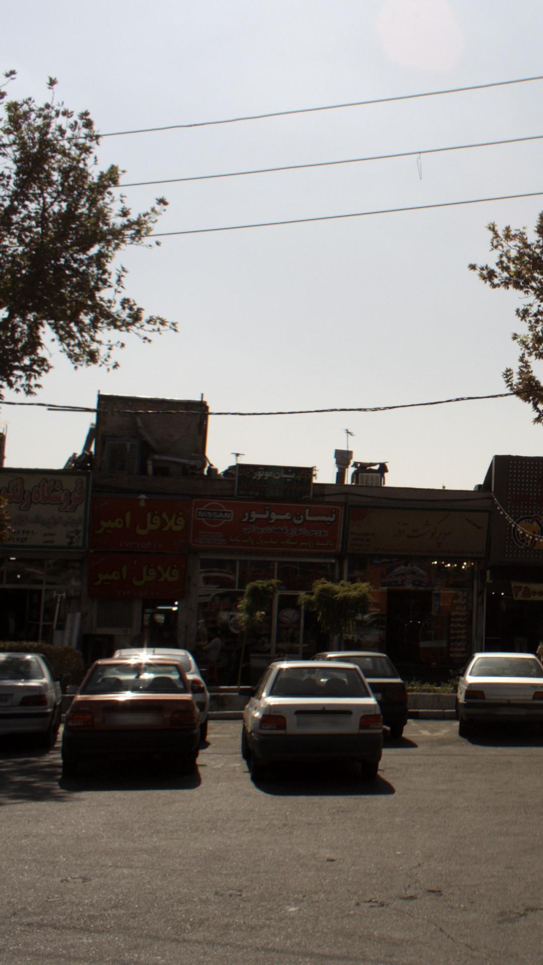 فلافل امیر