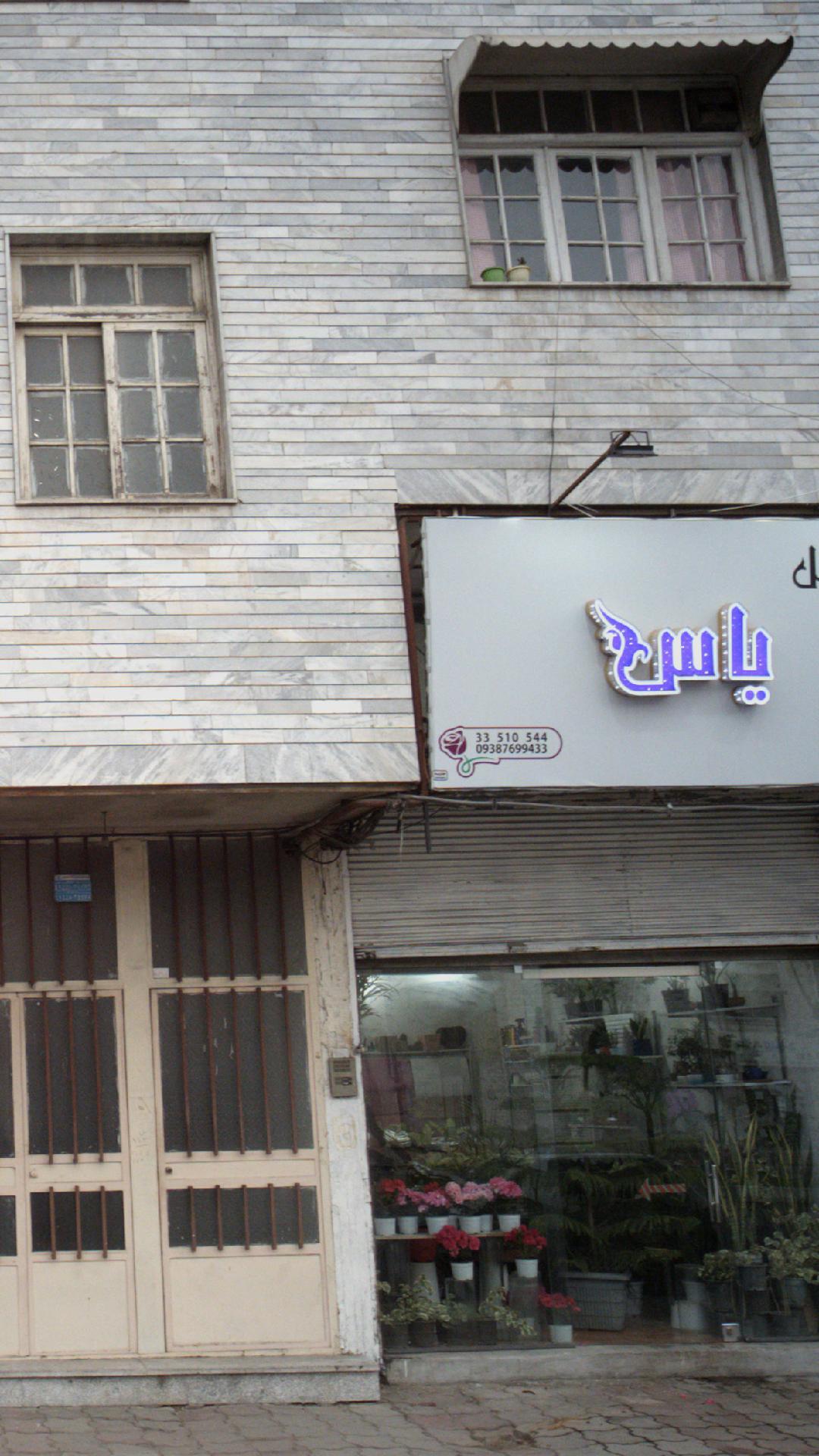 گالری گل یاس