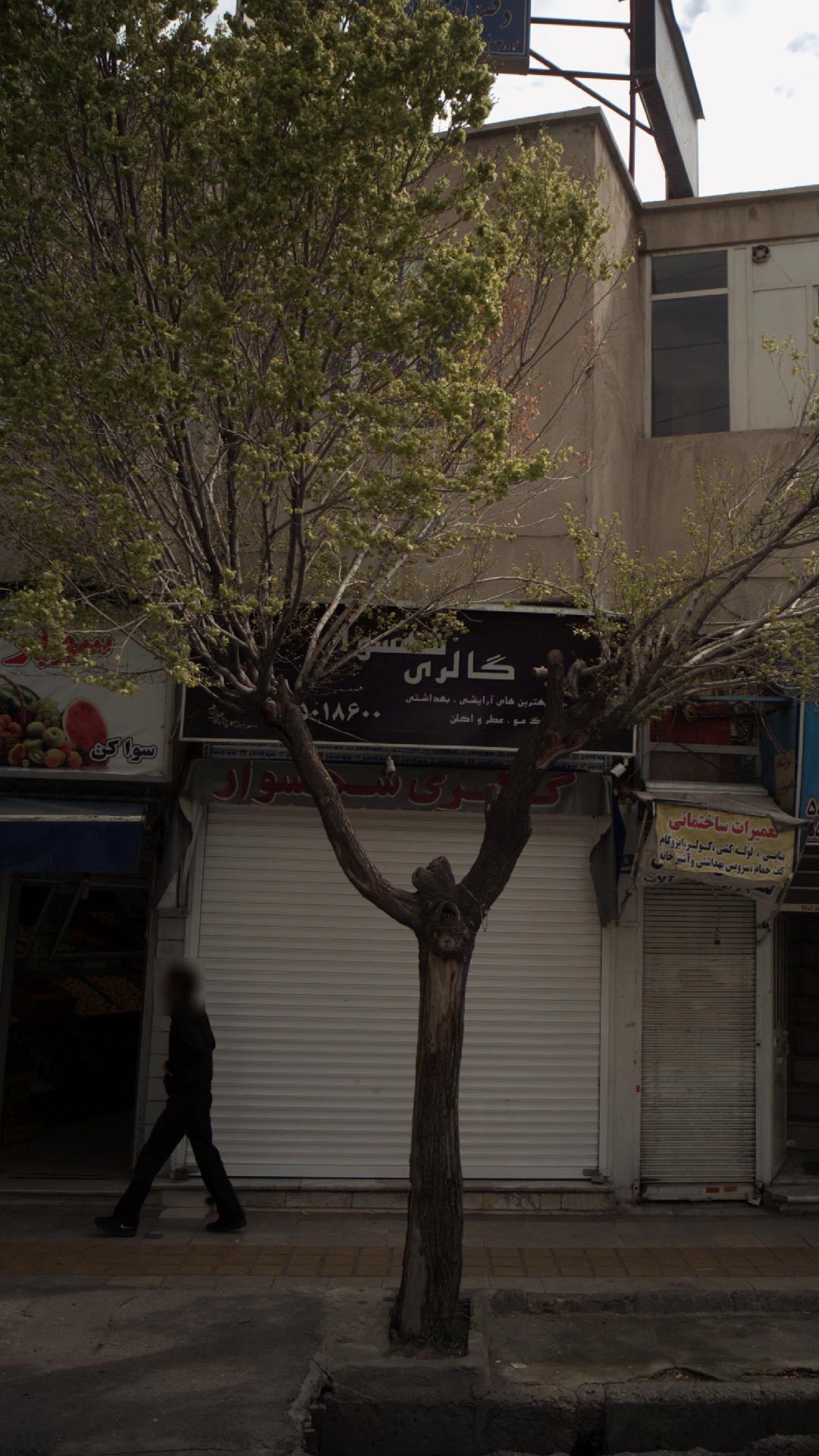 گالری شهسوار