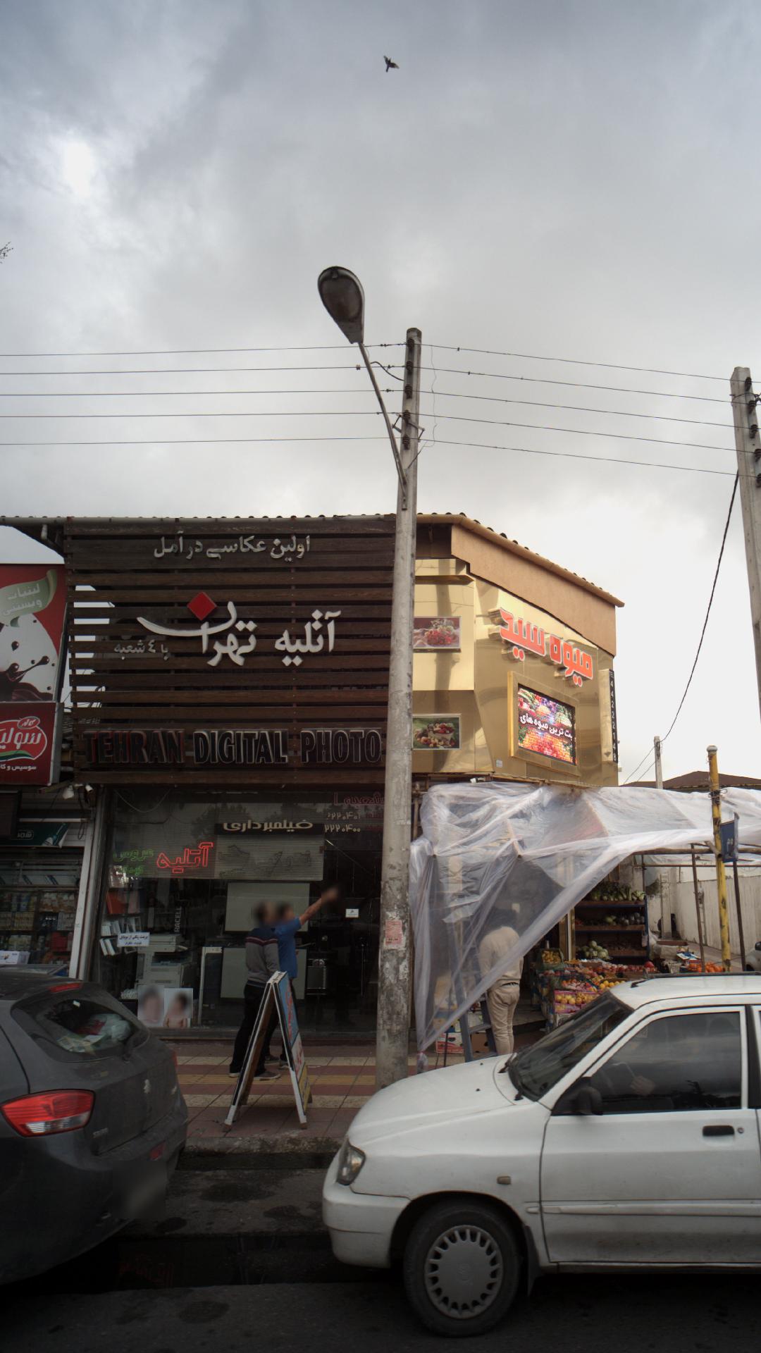 میوه سید