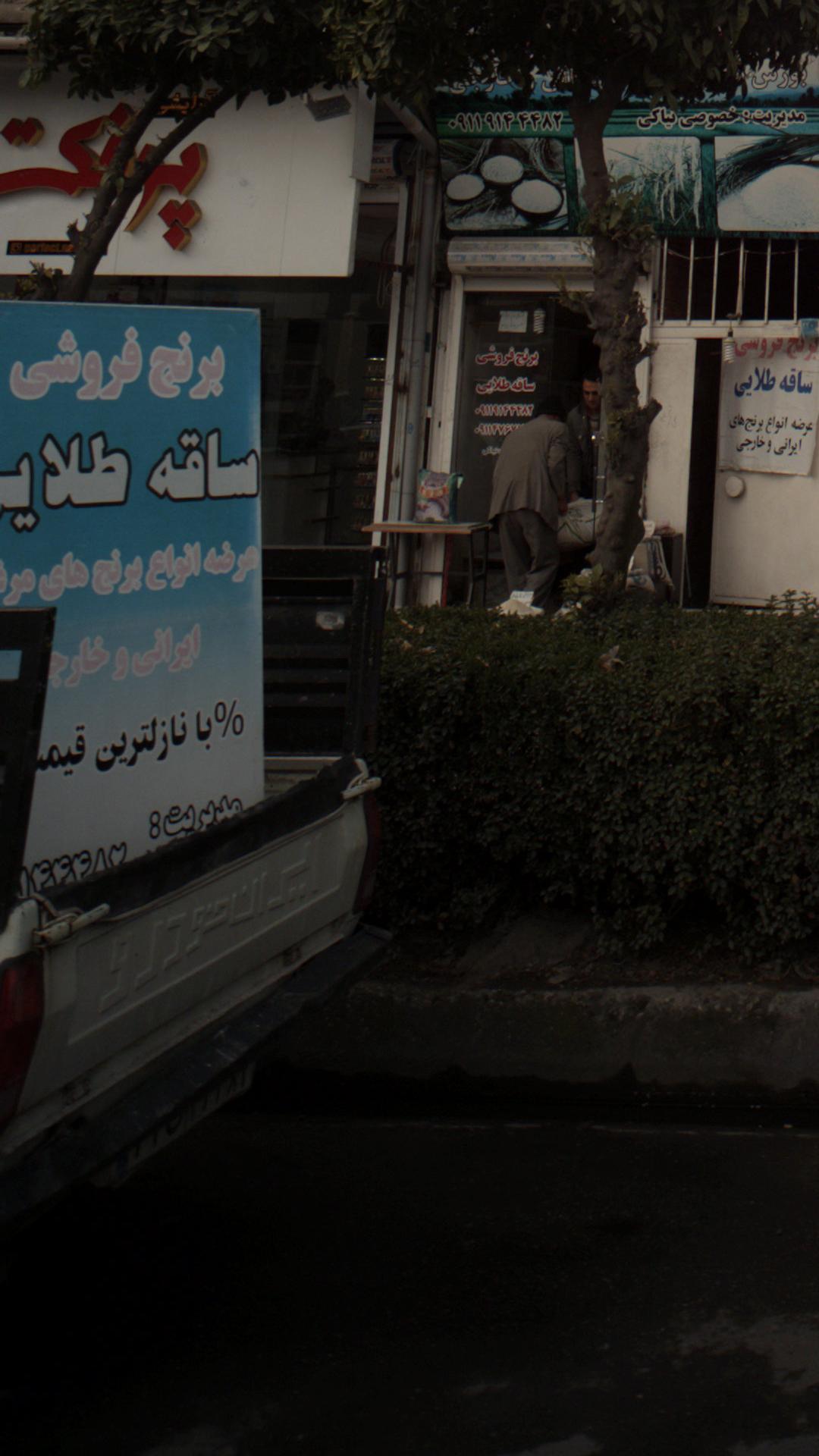 برنج فروشی ساقه طلایی