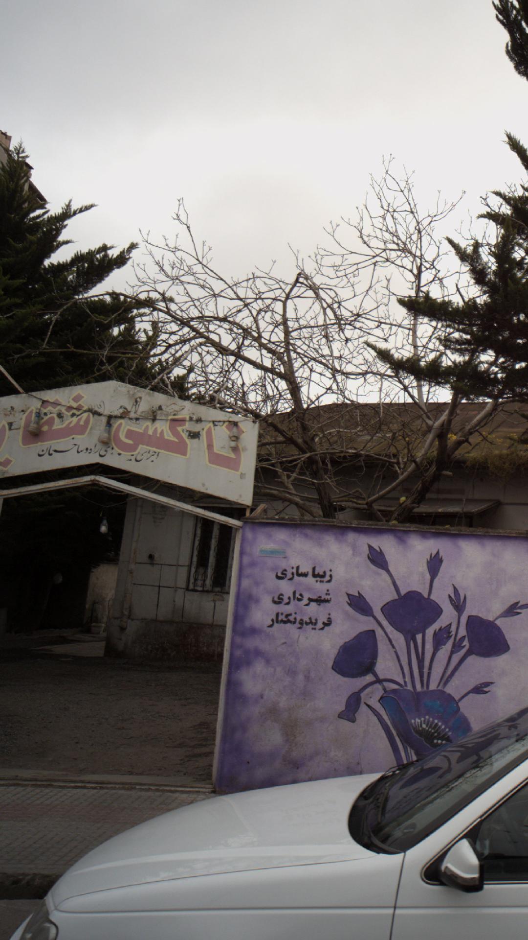 تاکسی شقایق