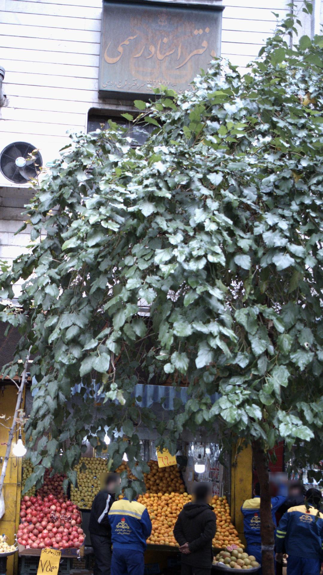 دفتر اسناد رسمی