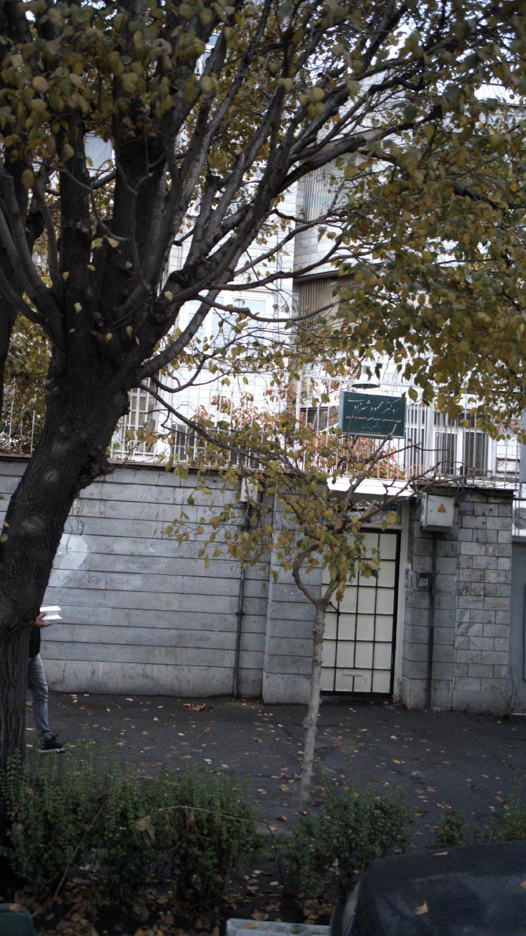 دکتر محمود شهزادی