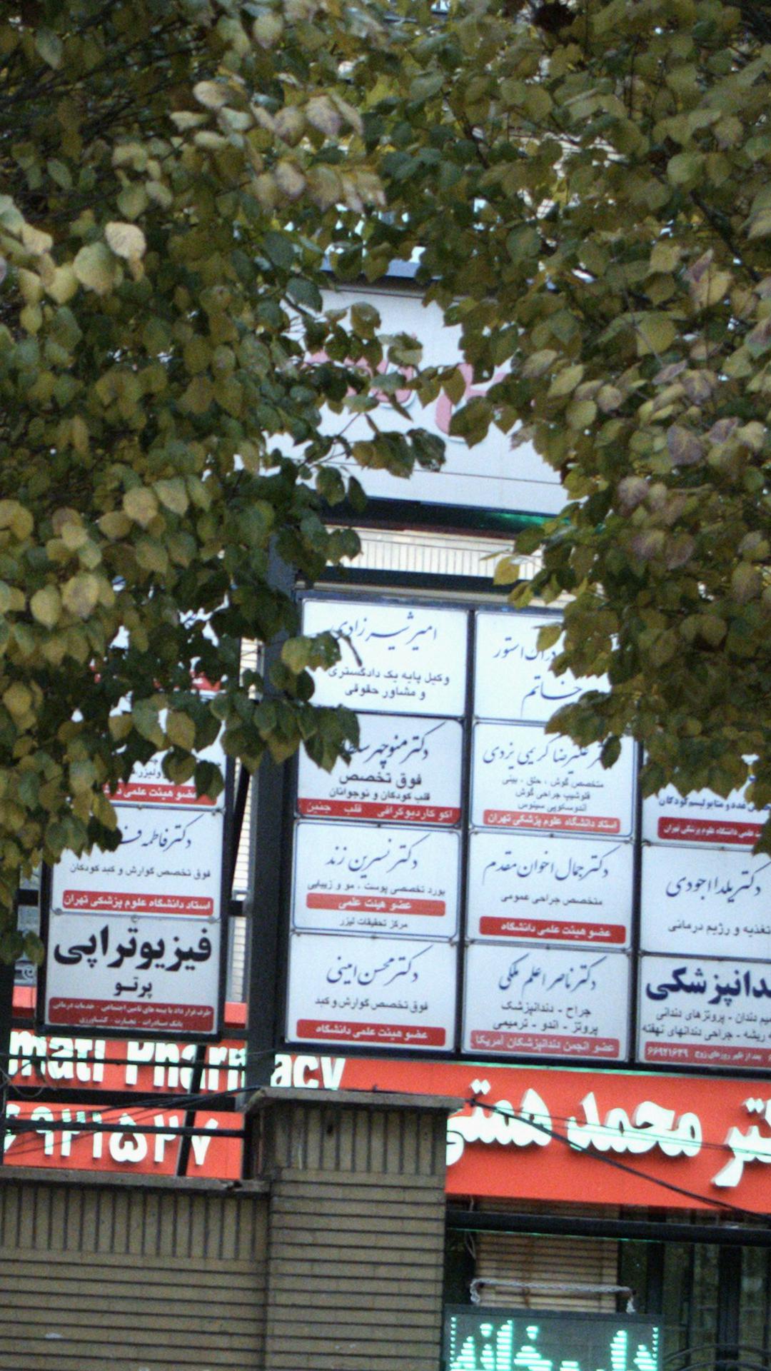 امیر شیرزادی