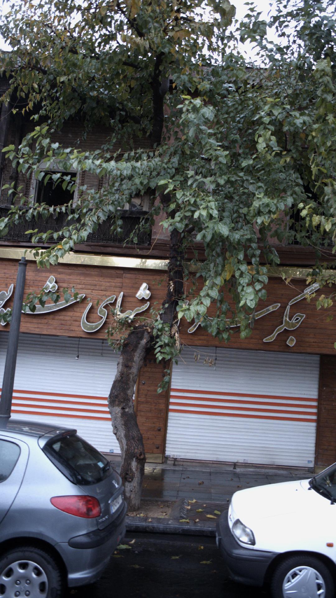 جگرسرای شبهای شاپور