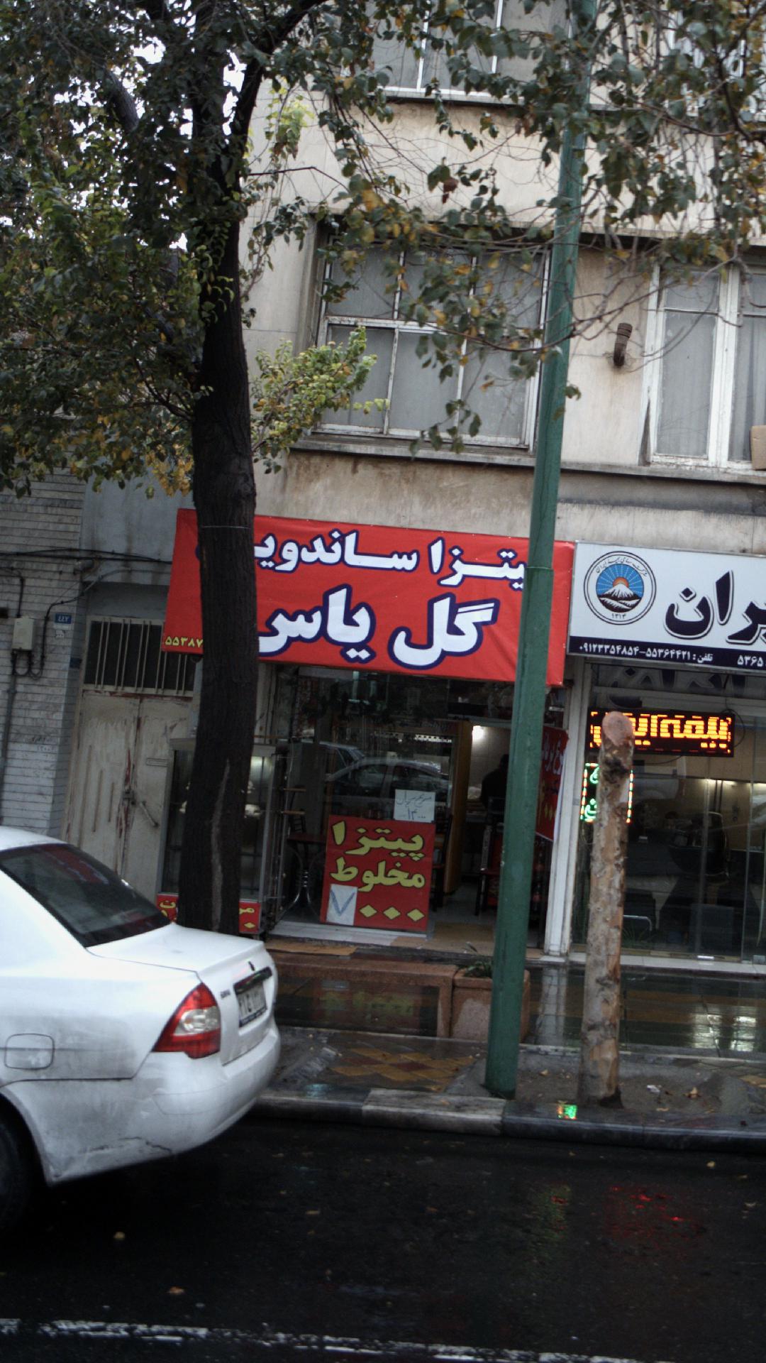 پیتزا ساندویچ گل یاس