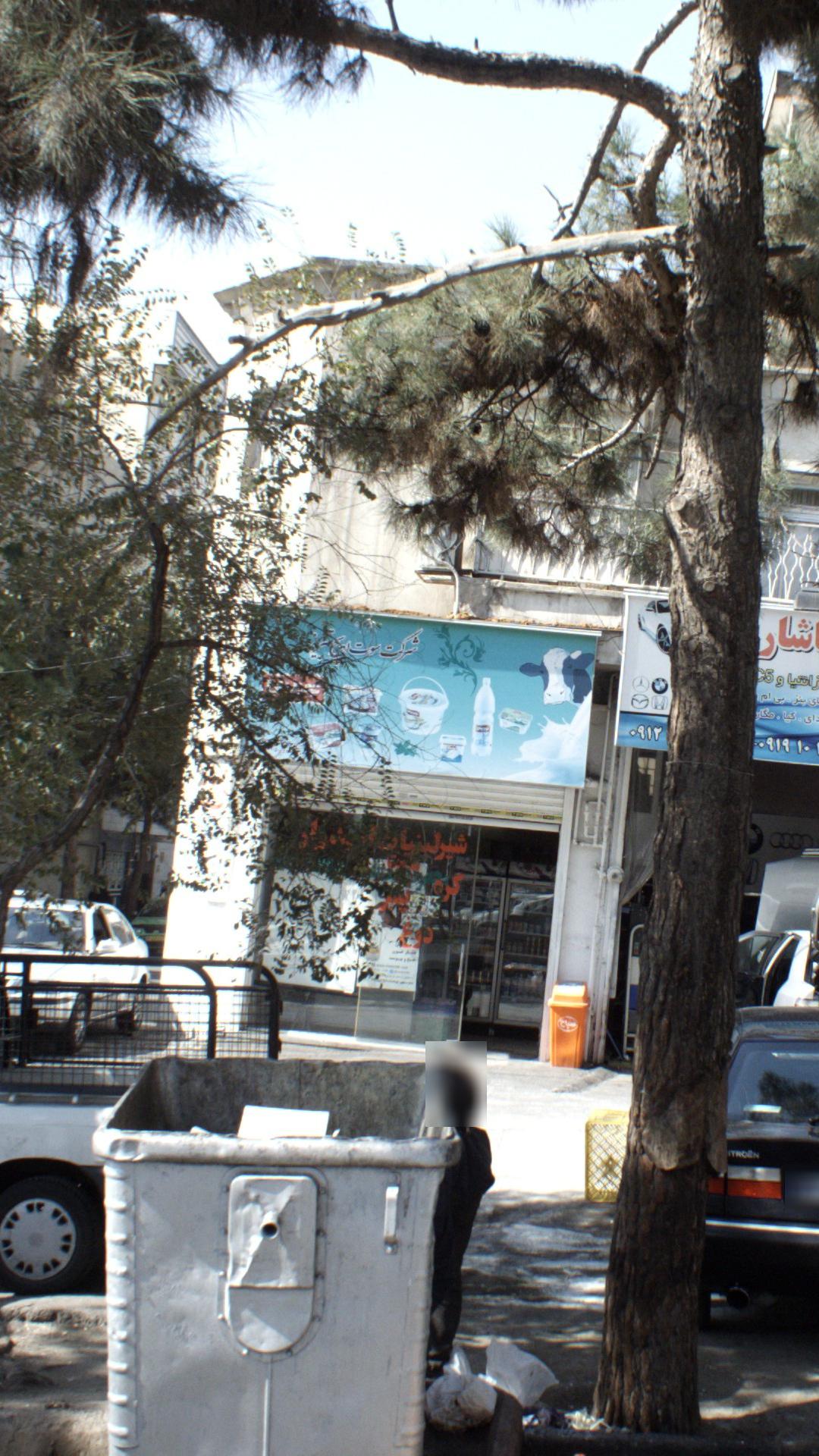 لبنیات فروشی