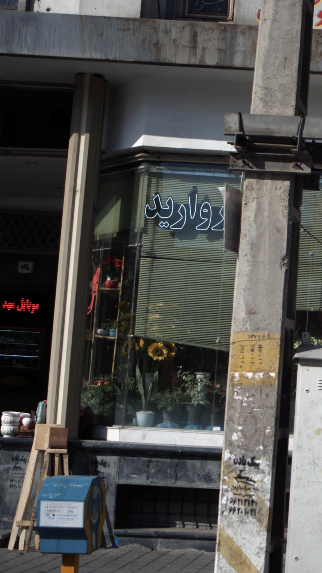 گل فروشی مروارید