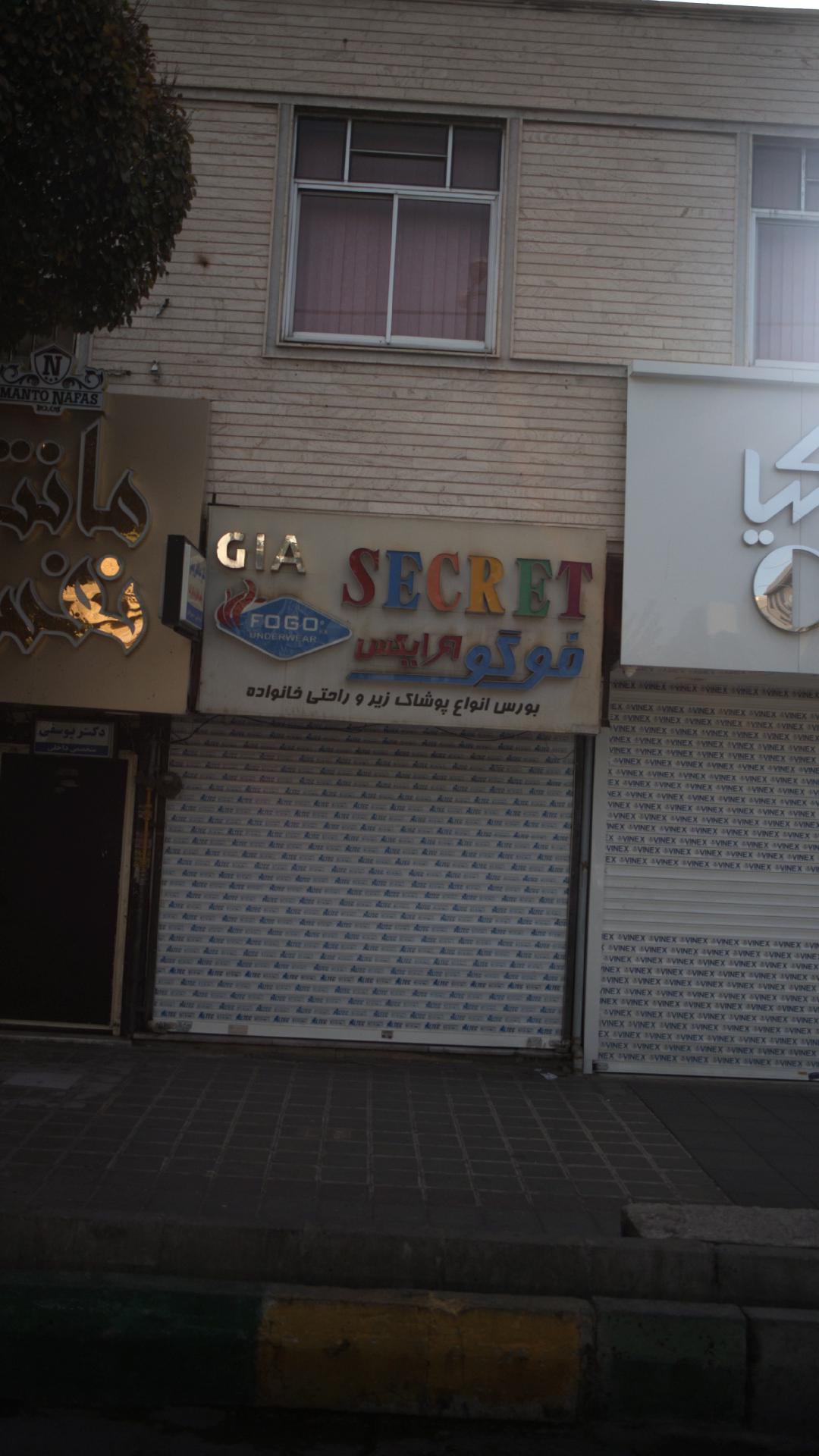 فوگو