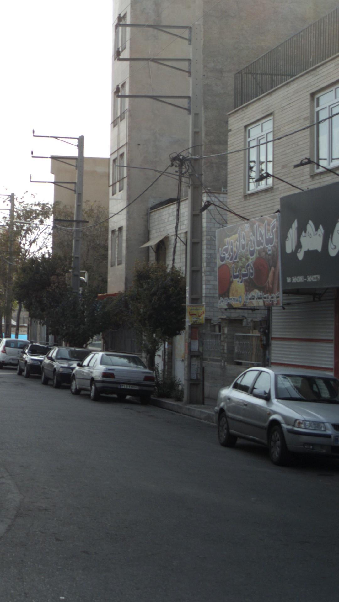 گیاهان داروئی ذکریا