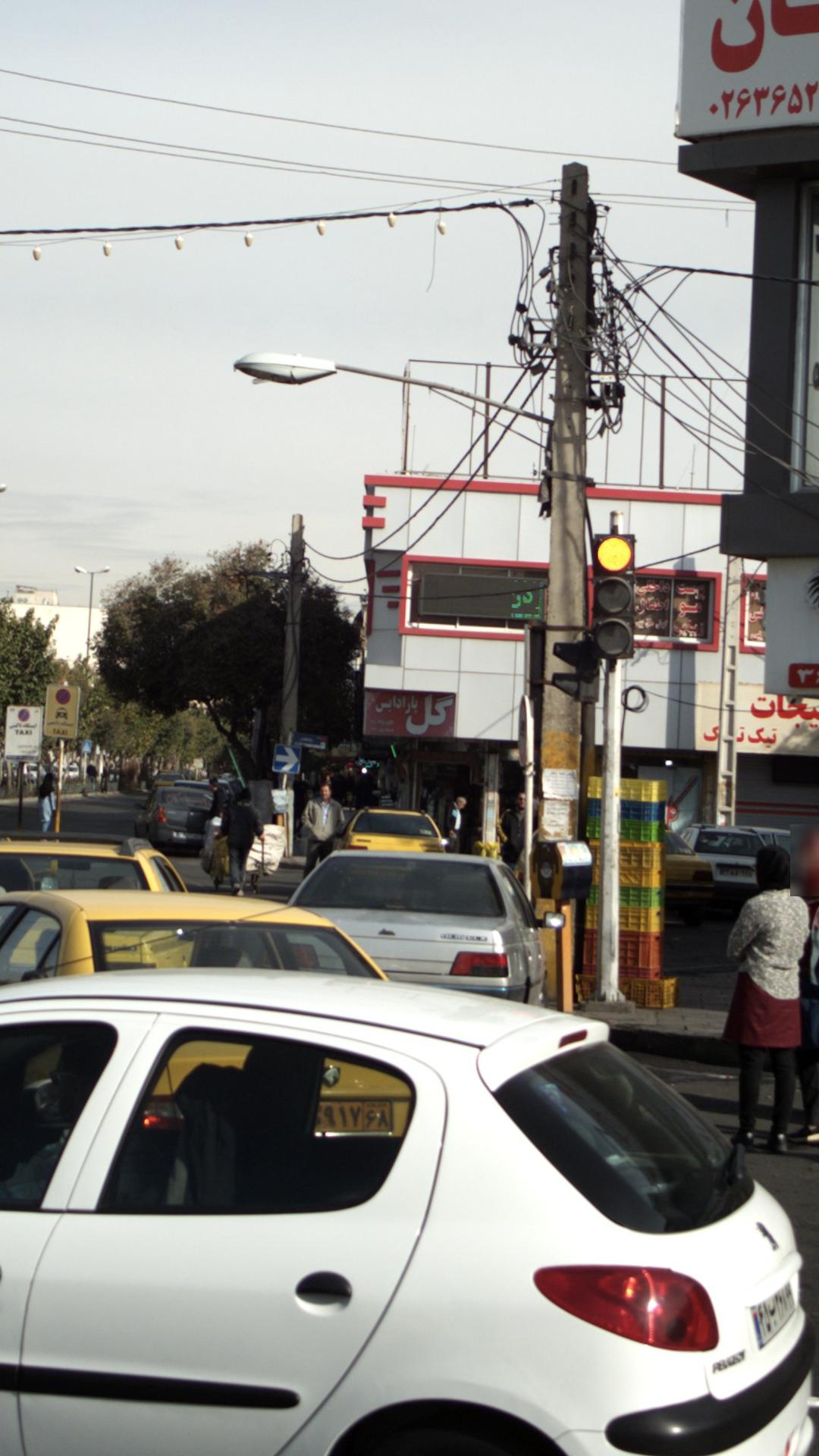 گل پارادایس