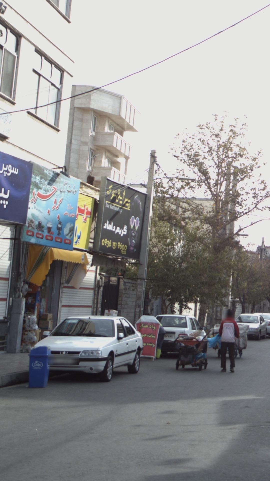 پیرایش توس