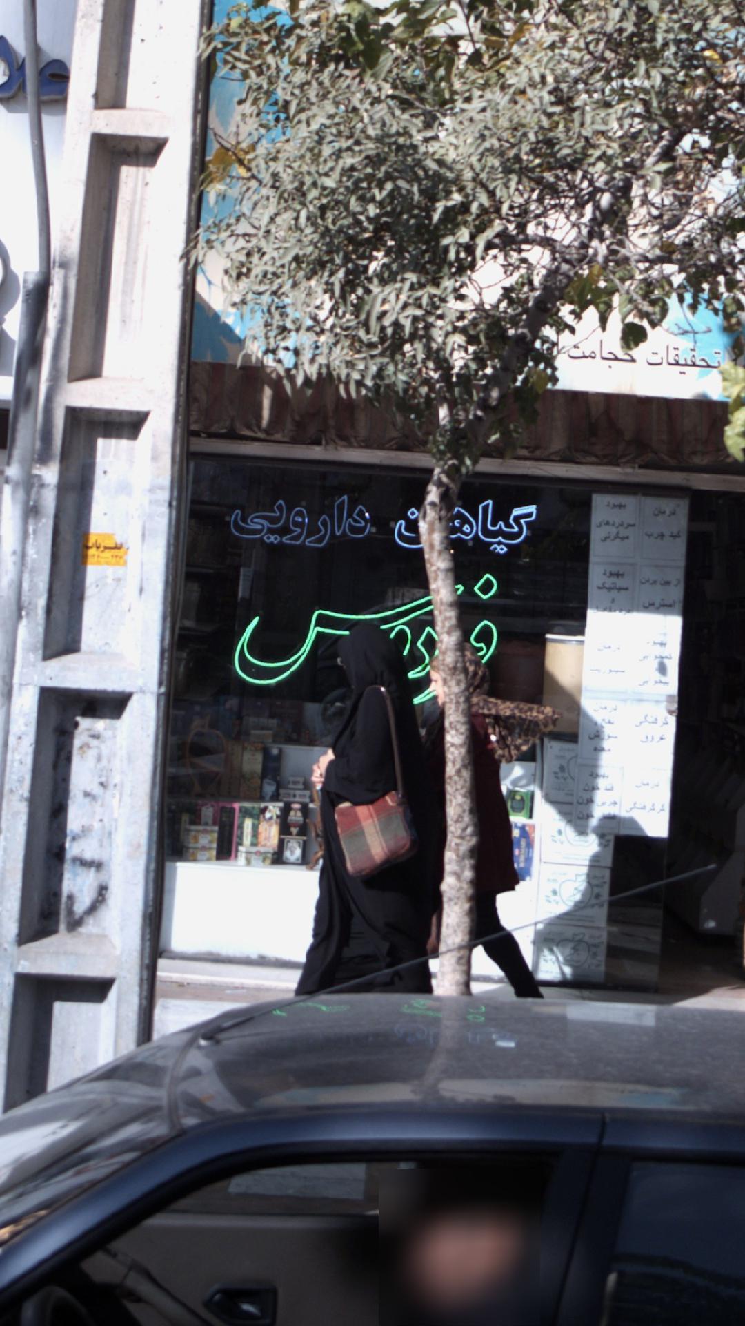 گیاهان دارویی فردوس
