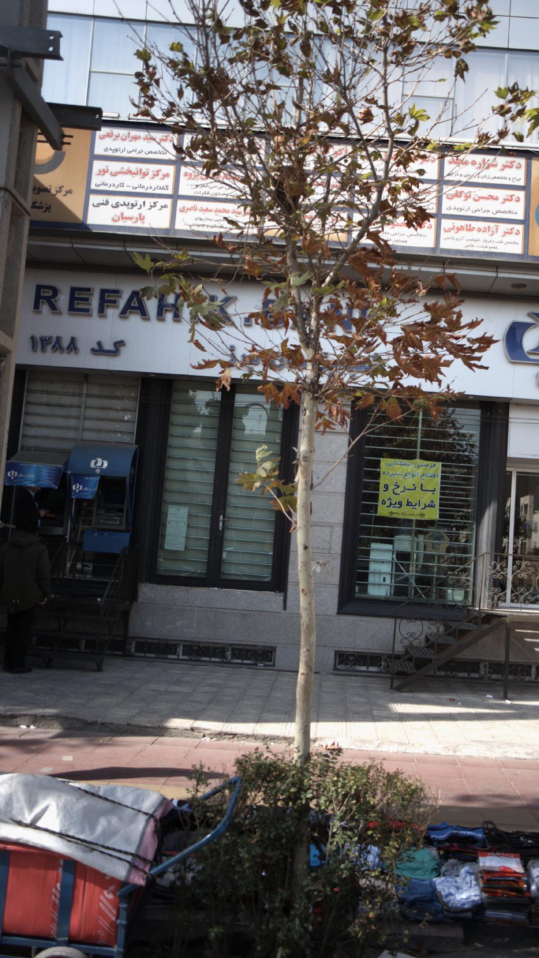 مرکز توانبخشی نور