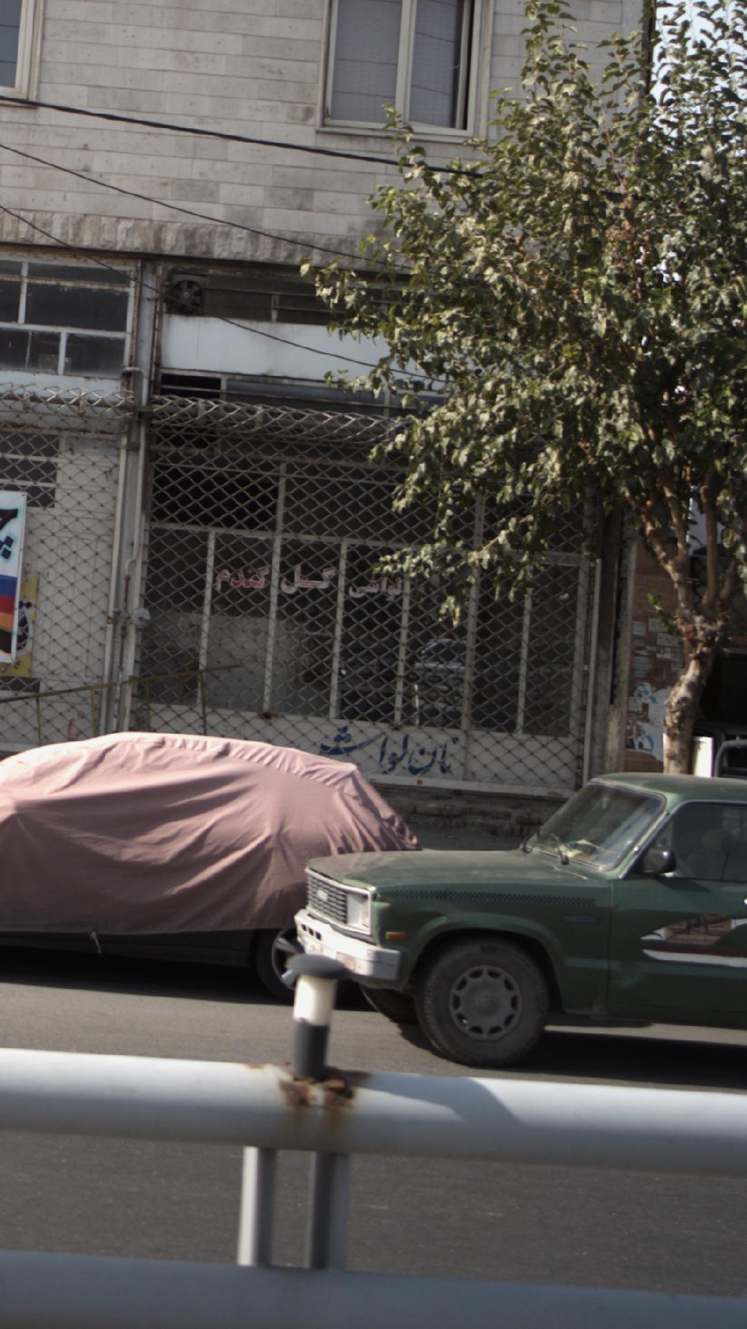 لواشی گل گندم