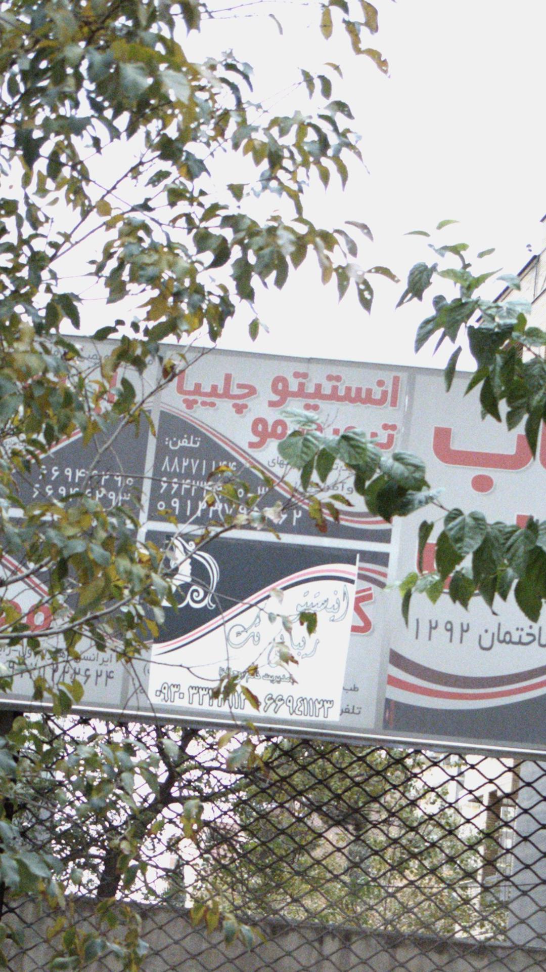 انستیتو چلیپا ترمیم مو