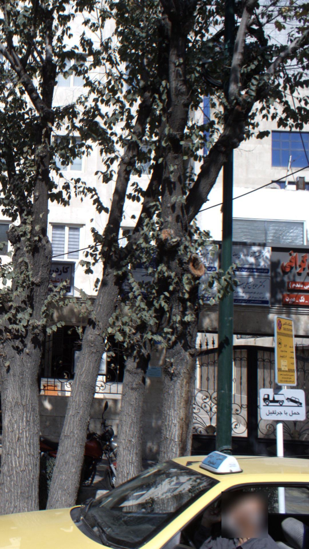 ایستگاه تاکسی