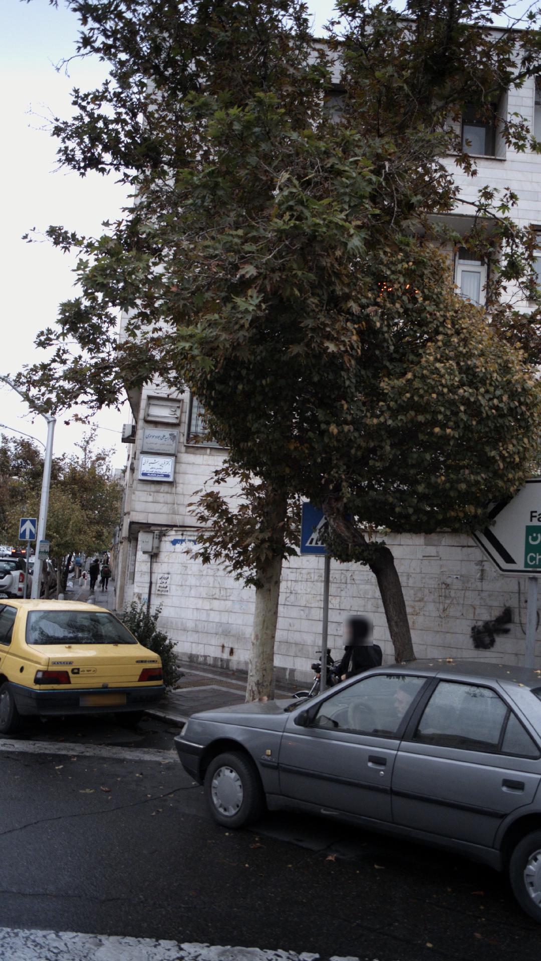 دکتر فردین رشید فرخی