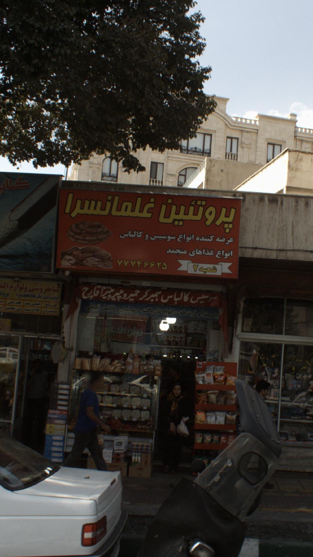 پروتئین غلمانسرا