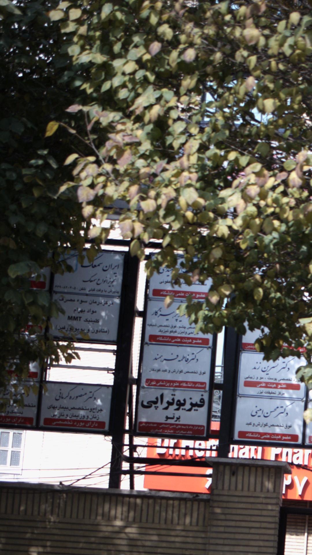 ایران سمعک  نماینده ویدکس دانمارک