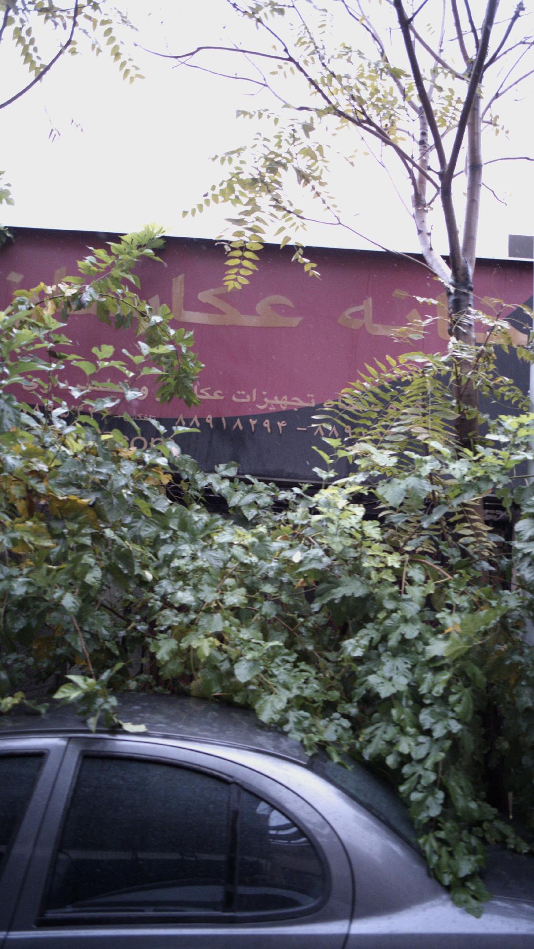 گالری خانه عکاسان