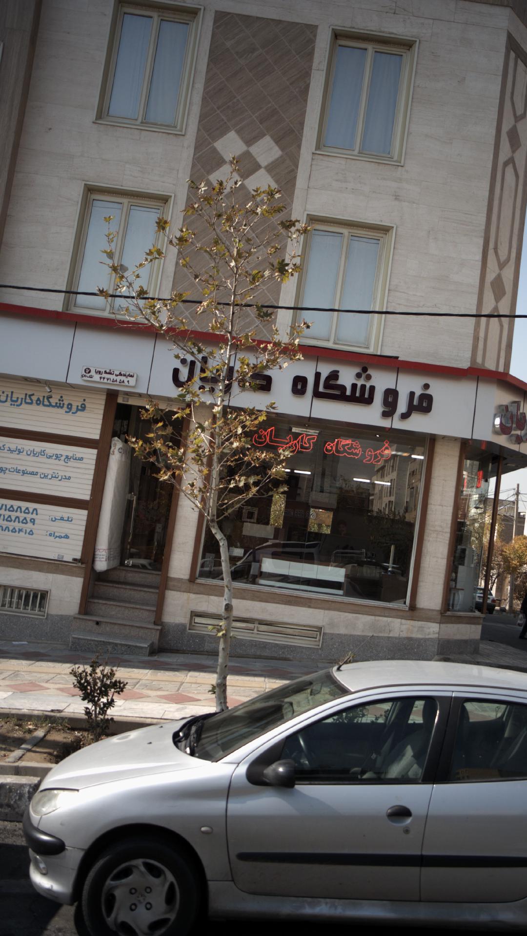 فروشگاه کاریان