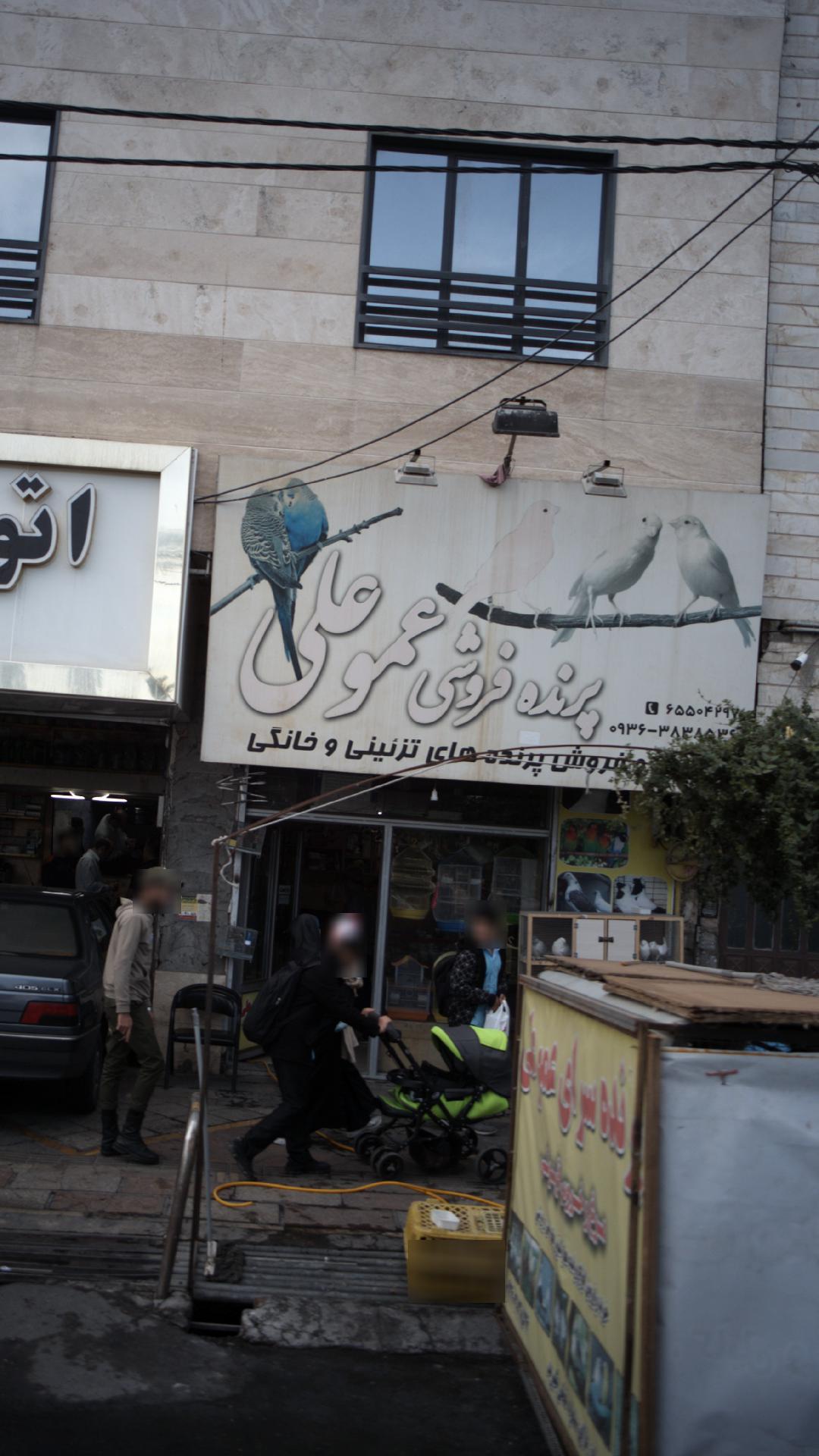 پرنده فروشی عمو علی