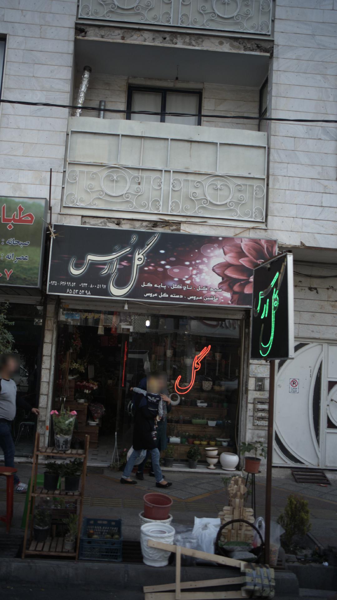 گل ارس