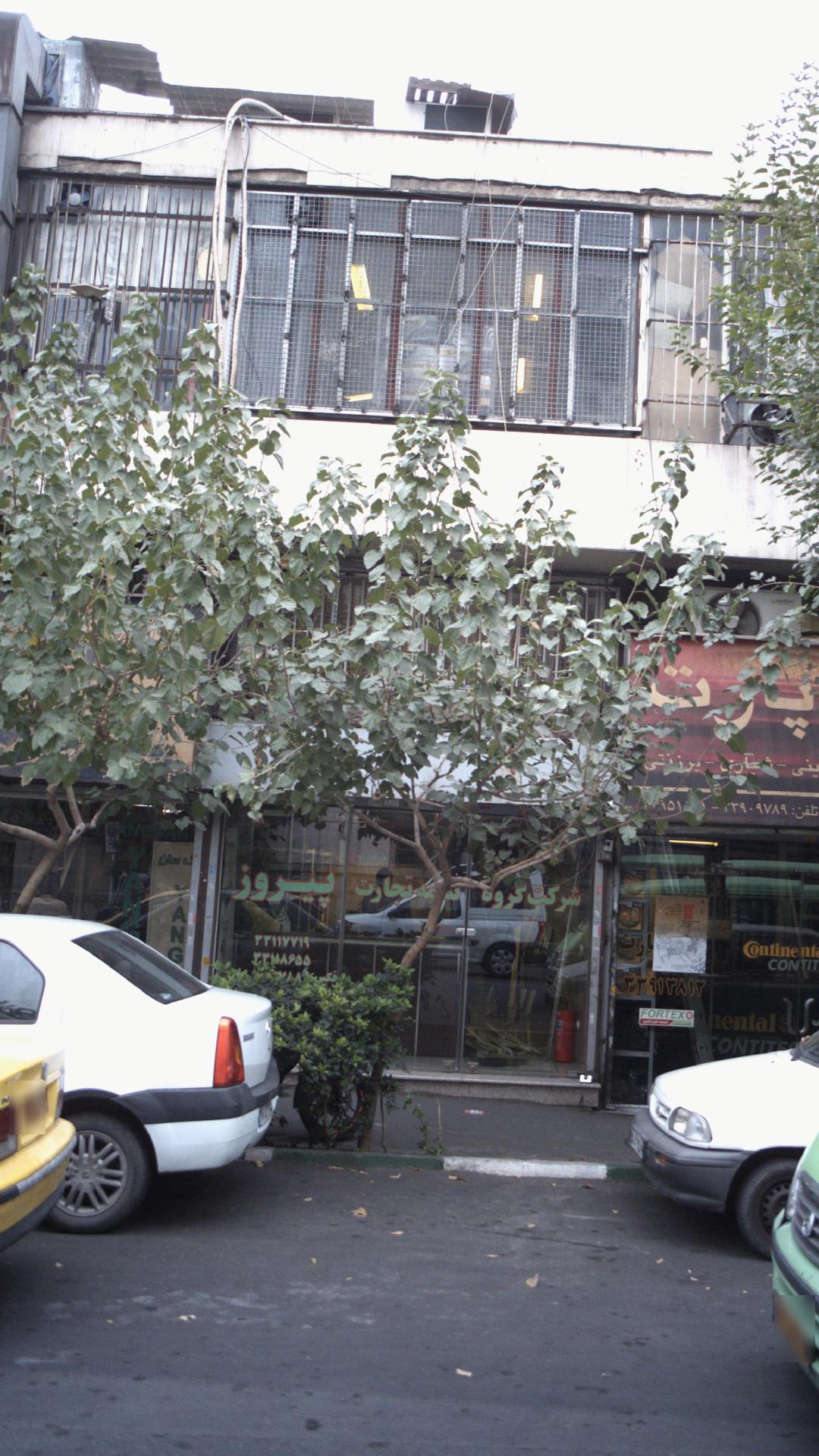 شرکت گروه بیمه تجارت پیروز