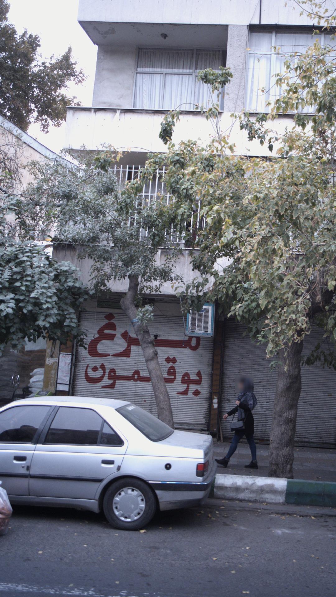 مرغ بوقلمون