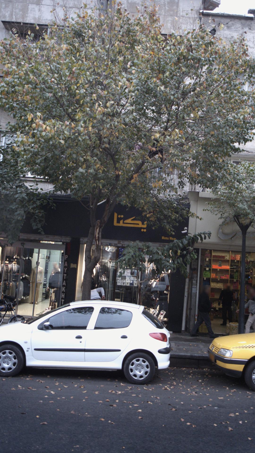 یکتا