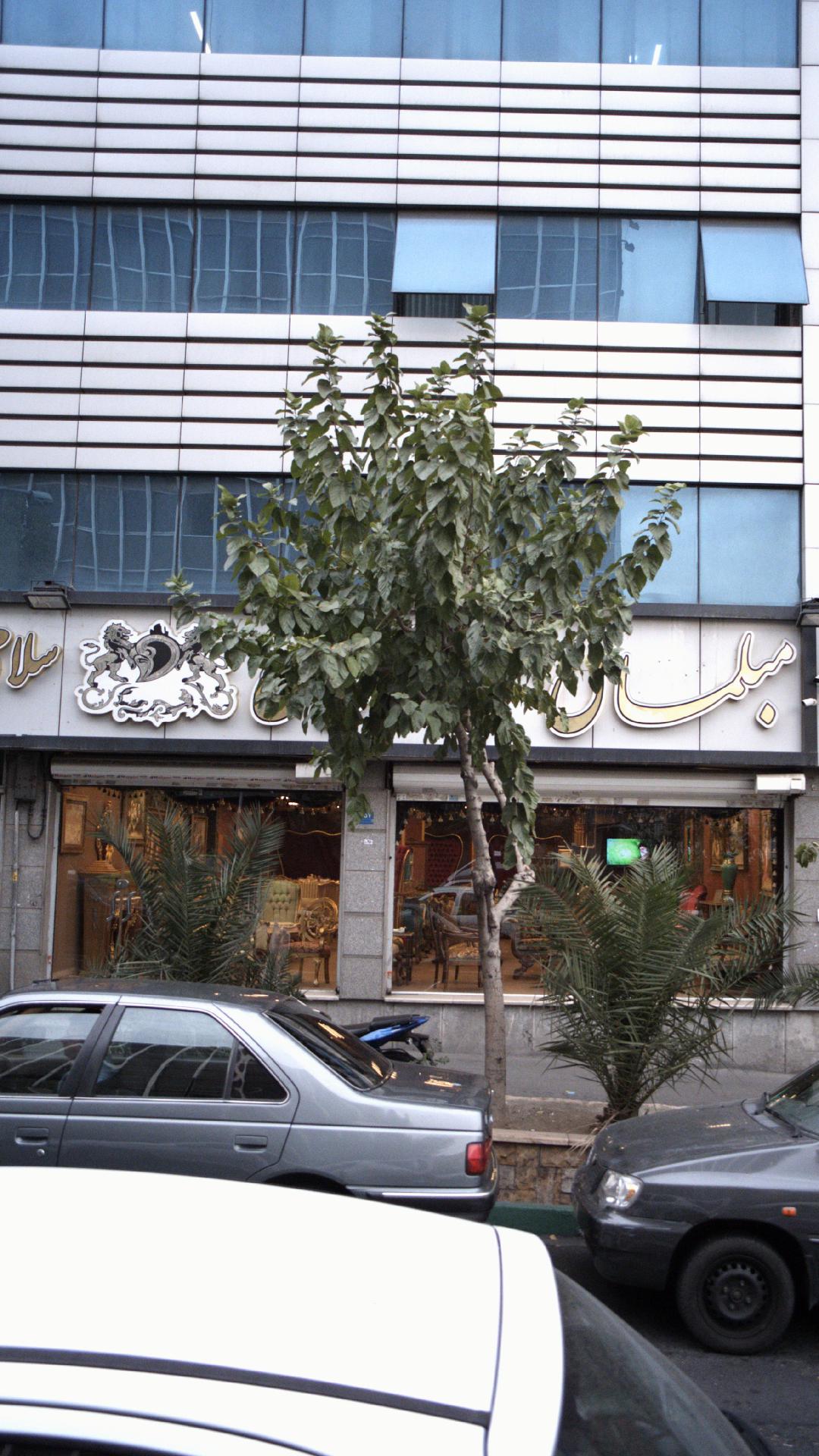 مبلمان سلامی