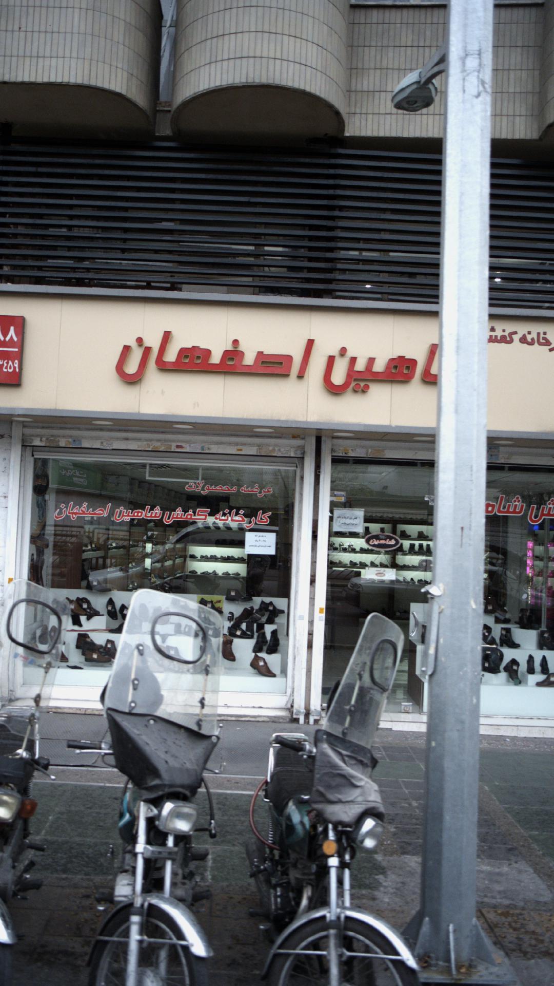 کفش شاهین اصفهان